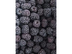 OSTRUŽINY 2,5kg (mražené) OSTRUŽINY 2,5kg (mražené)