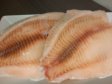 FILETY TLAMOUN NILSKÝ bez kůže Tilápie (5390241) 5kg (mražené)
