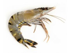 KREVETY Black Tiger celé syrové 16/20 - 1000g/800g (mražené)