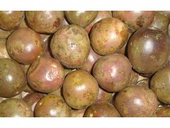 PASIFLORA/mučenka Kolumbie (1kg) PASIFLORA/mučenka Kolumbie (1kg)