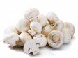 ŽAMPIONY čerstvé malinké 10-15mm 3kg CZ/SR/PL ŽAMPIONY čerstvé malinké 10-15mm 3kg CZ/SR/PL