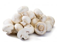 ŽAMPIONY čerstvé malinké 10-15mm 3kg CZ/SR/PL