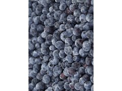 BORŮVKY lesní 2,5kg (mražené) BORŮVKY lesní 2,5kg (mražené)