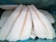 FILETY PLATÝS Limanda IQF 100-150g (mražené)5 kg